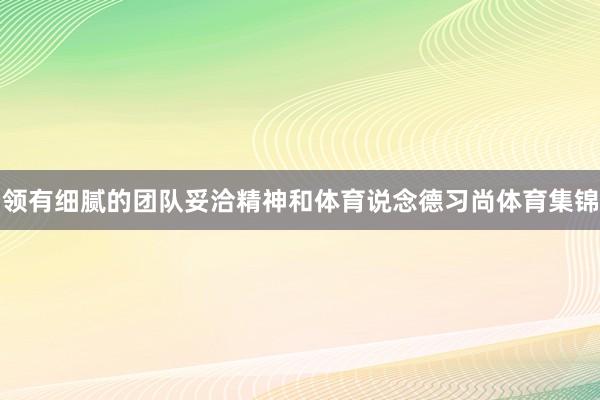 领有细腻的团队妥洽精神和体育说念德习尚体育集锦