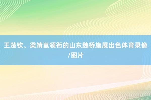 王楚钦、梁靖崑领衔的山东魏桥施展出色体育录像/图片