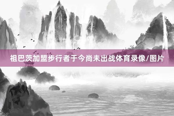 祖巴茨加盟步行者于今尚未出战体育录像/图片
