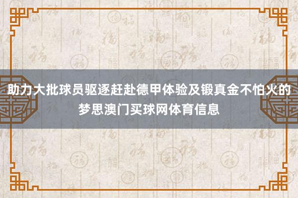 助力大批球员驱逐赶赴德甲体验及锻真金不怕火的梦思澳门买球网体育信息