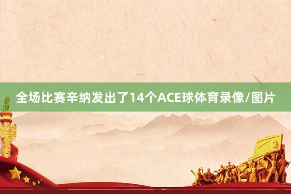 全场比赛辛纳发出了14个ACE球体育录像/图片