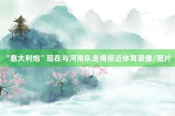 “意大利炮”现在与河南队走得很近体育录像/图片