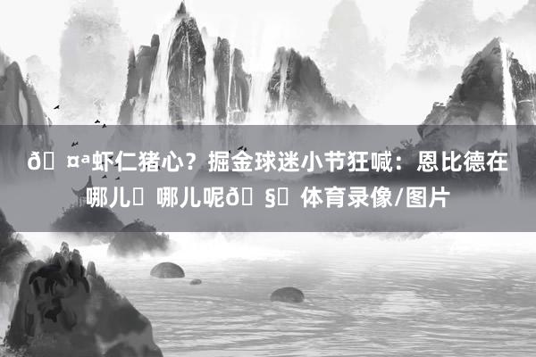 🤪虾仁猪心？掘金球迷小节狂喊：恩比德在哪儿❓哪儿呢🧐体育录像/图片