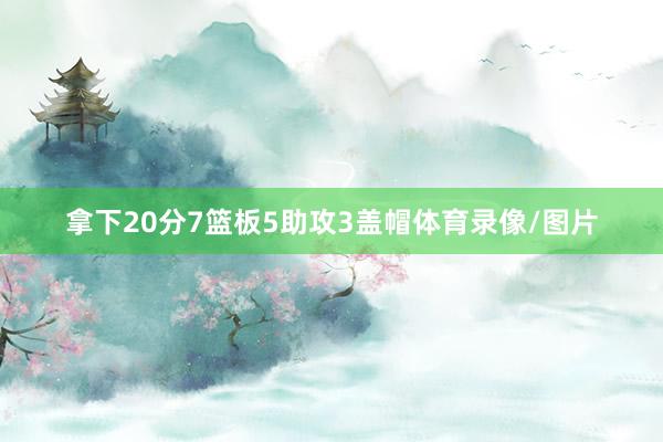 拿下20分7篮板5助攻3盖帽体育录像/图片