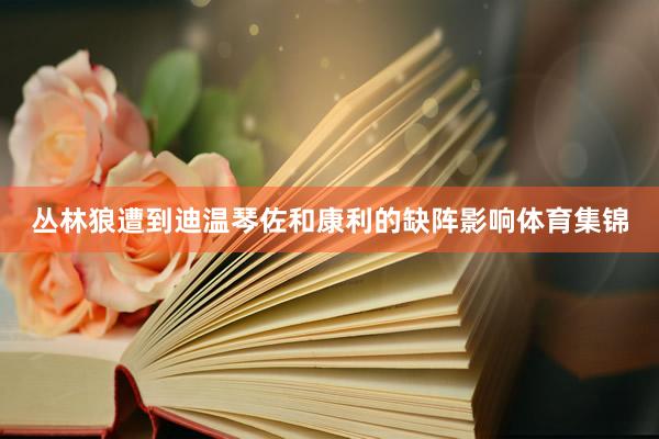 丛林狼遭到迪温琴佐和康利的缺阵影响体育集锦