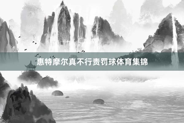 惠特摩尔真不行责罚球体育集锦