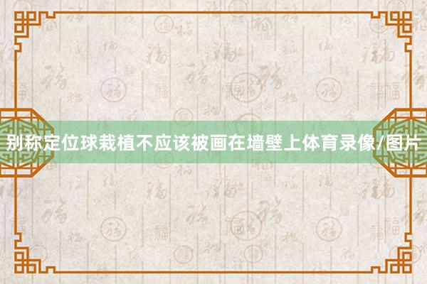 别称定位球栽植不应该被画在墙壁上体育录像/图片