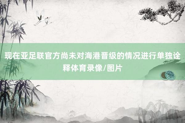 现在亚足联官方尚未对海港晋级的情况进行单独诠释体育录像/图片