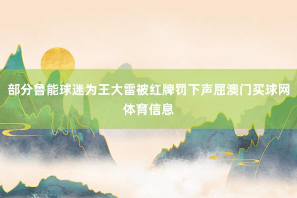 部分鲁能球迷为王大雷被红牌罚下声屈澳门买球网体育信息