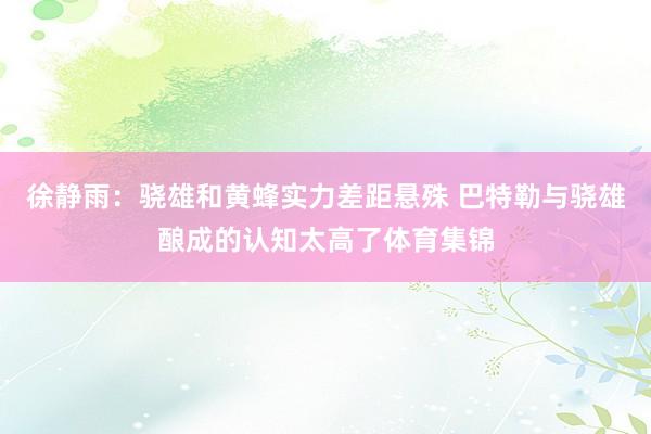 徐静雨：骁雄和黄蜂实力差距悬殊 巴特勒与骁雄酿成的认知太高了体育集锦