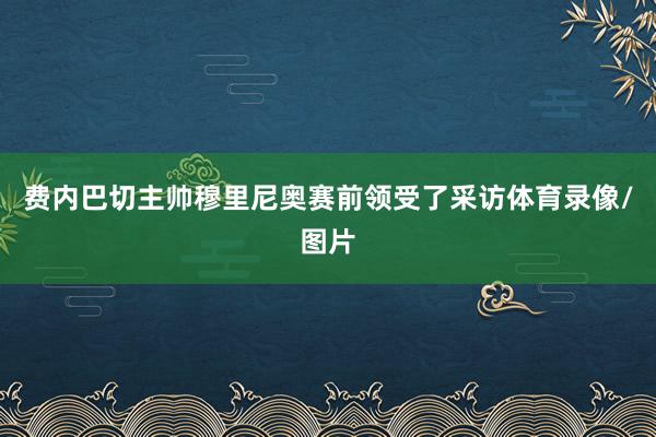 费内巴切主帅穆里尼奥赛前领受了采访体育录像/图片