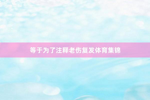 等于为了注释老伤复发体育集锦