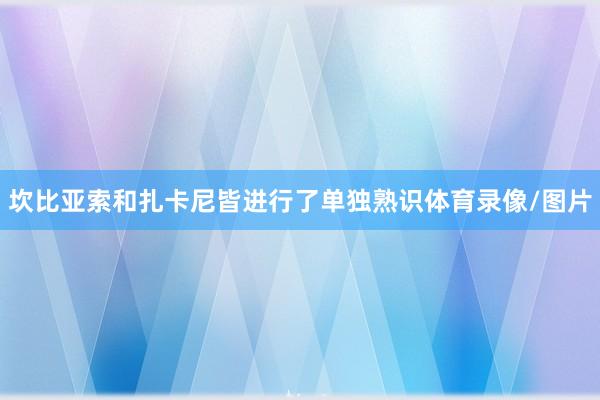 坎比亚索和扎卡尼皆进行了单独熟识体育录像/图片