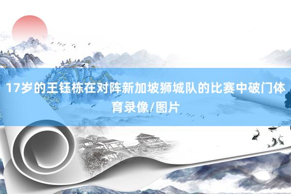 17岁的王钰栋在对阵新加坡狮城队的比赛中破门体育录像/图片