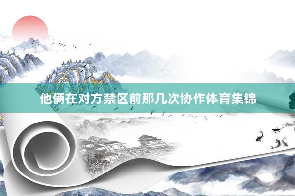 他俩在对方禁区前那几次协作体育集锦