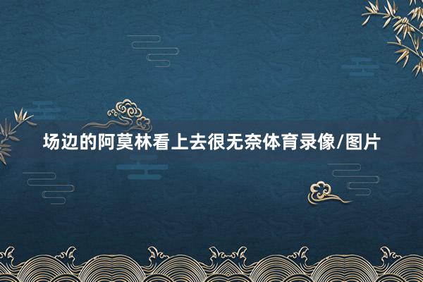 场边的阿莫林看上去很无奈体育录像/图片