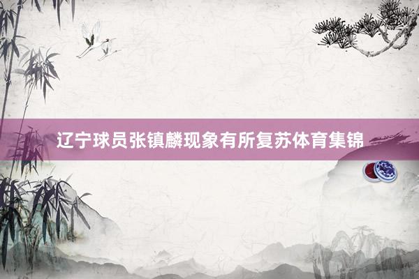 辽宁球员张镇麟现象有所复苏体育集锦