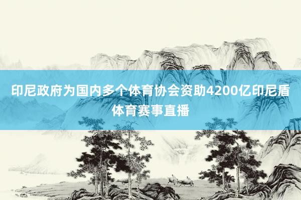 印尼政府为国内多个体育协会资助4200亿印尼盾体育赛事直播