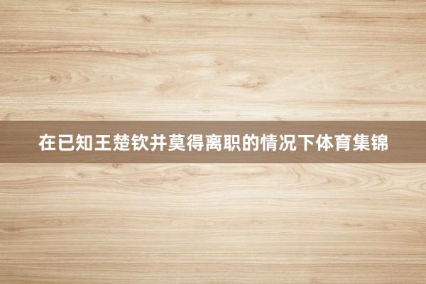 在已知王楚钦并莫得离职的情况下体育集锦