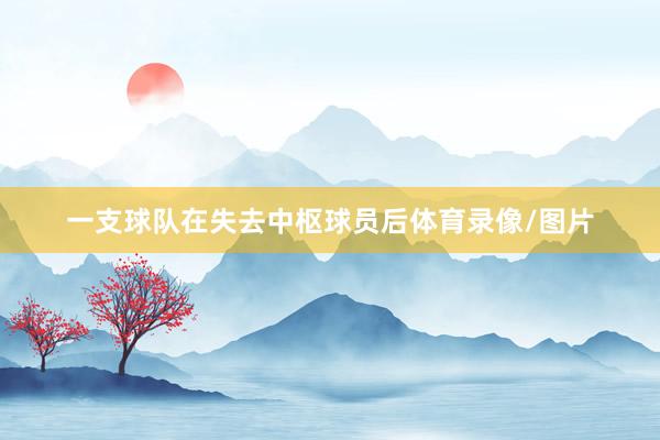 一支球队在失去中枢球员后体育录像/图片