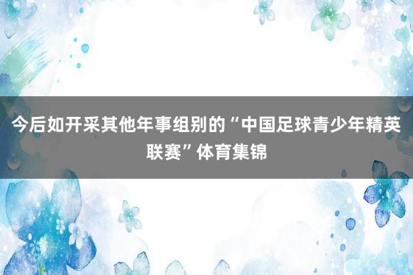 今后如开采其他年事组别的“中国足球青少年精英联赛”体育集锦