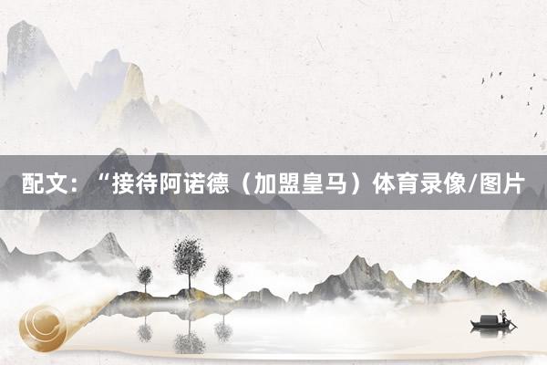 配文：“接待阿诺德（加盟皇马）体育录像/图片