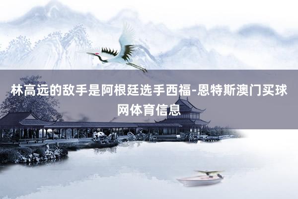 林高远的敌手是阿根廷选手西福-恩特斯澳门买球网体育信息