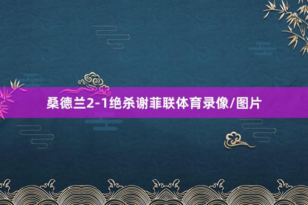 桑德兰2-1绝杀谢菲联体育录像/图片
