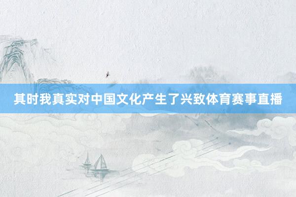 其时我真实对中国文化产生了兴致体育赛事直播