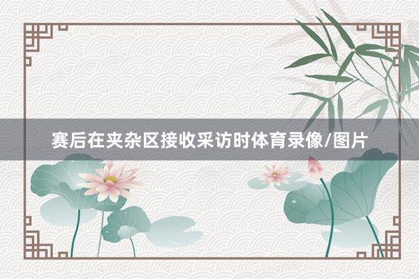 赛后在夹杂区接收采访时体育录像/图片