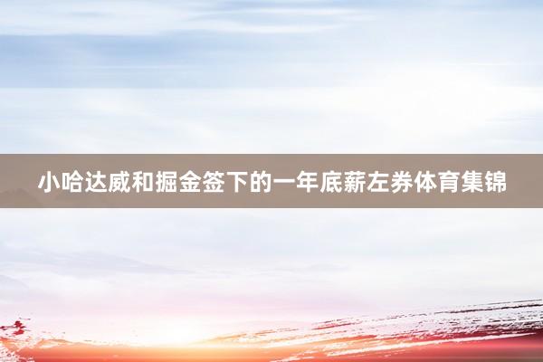 小哈达威和掘金签下的一年底薪左券体育集锦