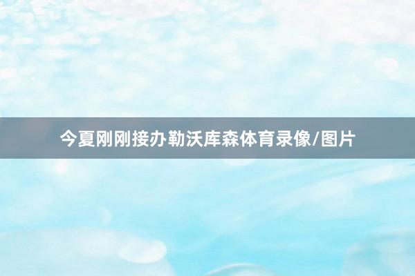 今夏刚刚接办勒沃库森体育录像/图片