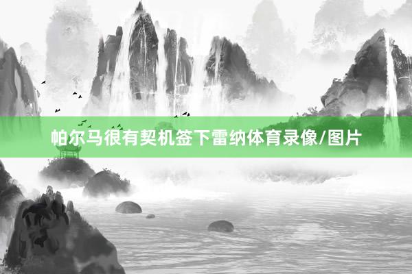 帕尔马很有契机签下雷纳体育录像/图片