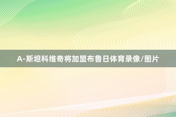 A-斯坦科维奇将加盟布鲁日体育录像/图片
