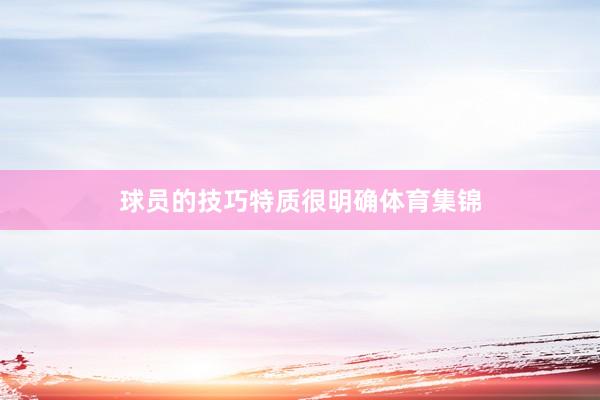球员的技巧特质很明确体育集锦