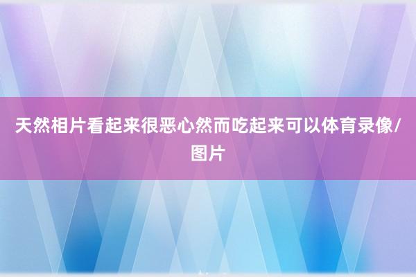 天然相片看起来很恶心然而吃起来可以体育录像/图片