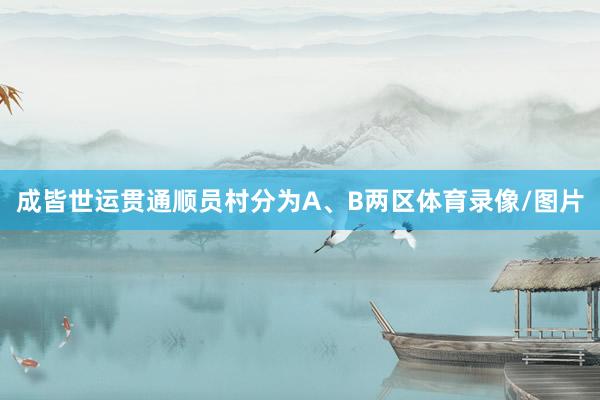 成皆世运贯通顺员村分为A、B两区体育录像/图片