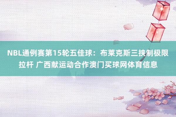 NBL通例赛第15轮五佳球：布莱克斯三挟制极限拉杆 广西献运动合作澳门买球网体育信息