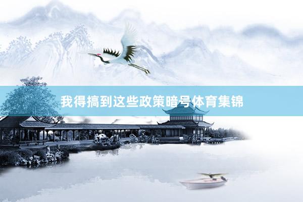 我得搞到这些政策暗号体育集锦