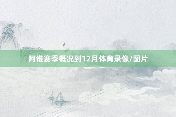 阿谁赛季概况到12月体育录像/图片