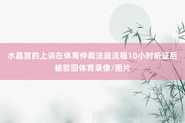水晶宫的上诉在体育仲裁法庭流程10小时听证后被驳回体育录像/图片