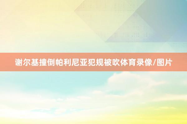 谢尔基撞倒帕利尼亚犯规被吹体育录像/图片