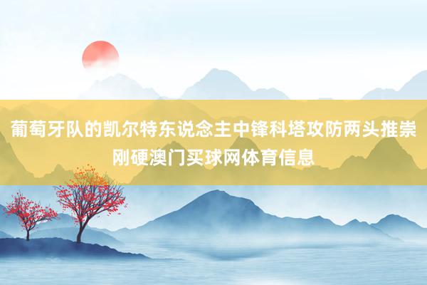 葡萄牙队的凯尔特东说念主中锋科塔攻防两头推崇刚硬澳门买球网体育信息