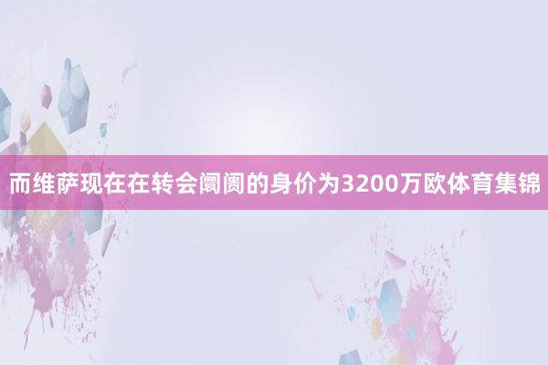 而维萨现在在转会阛阓的身价为3200万欧体育集锦