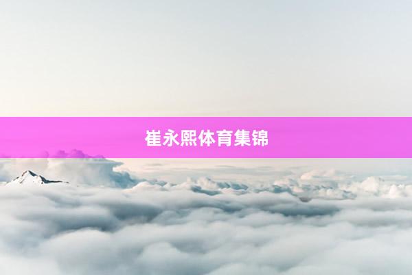 崔永熙体育集锦