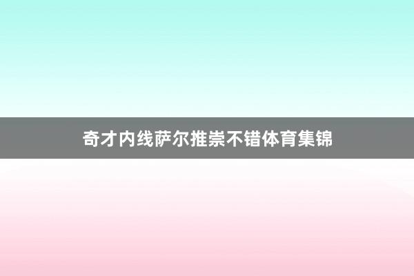 奇才内线萨尔推崇不错体育集锦