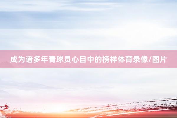 成为诸多年青球员心目中的榜样体育录像/图片