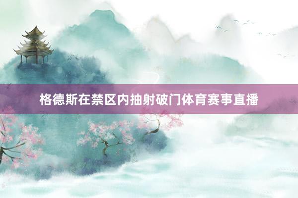 格德斯在禁区内抽射破门体育赛事直播
