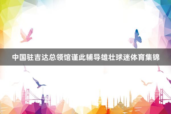 中国驻吉达总领馆谨此辅导雄壮球迷体育集锦