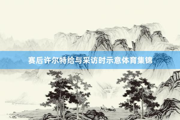 赛后许尔特给与采访时示意体育集锦